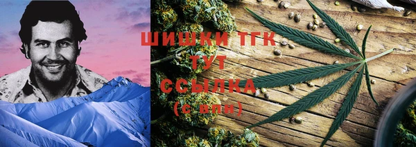 круглые Алзамай