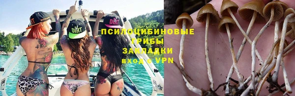 круглые Алзамай