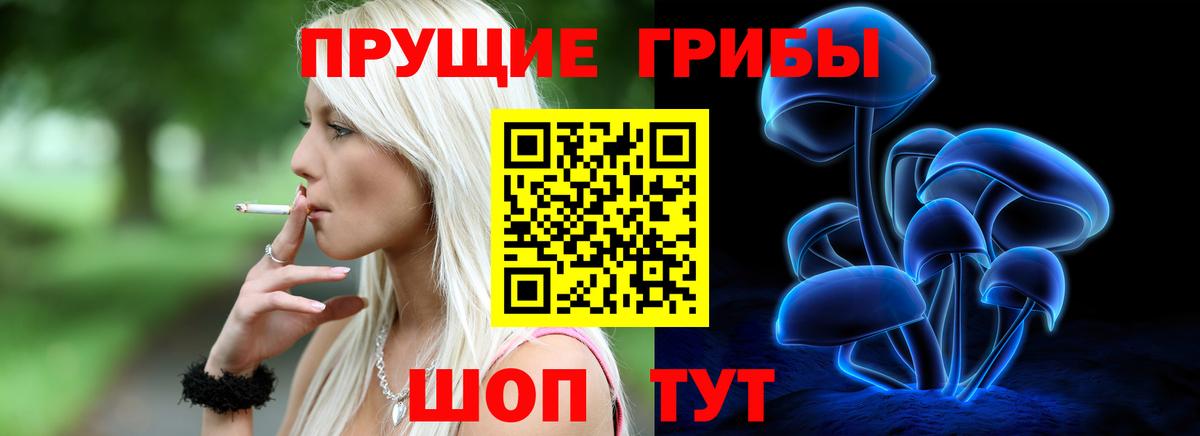 Псилоцибиновые грибы прущие грибы Сыктывкар