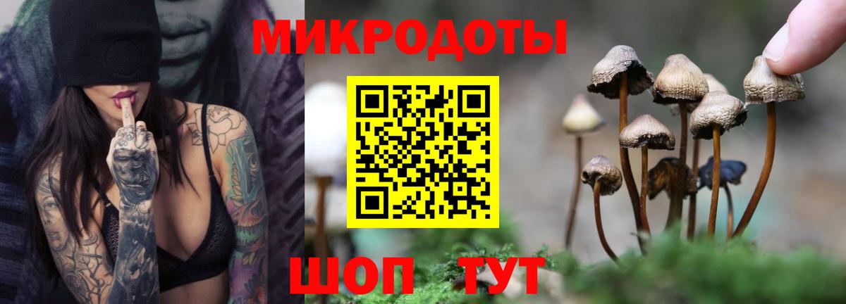 Галлюциногенные грибы прущие грибы  Вход с VPN  Псилоцибиновые грибы Psilocybine cubensis  дарнет шоп  Сыктывкар 